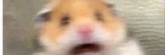 arrhythmiaaaaa's profile banner image