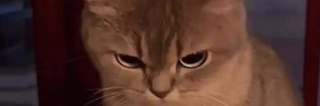 As … As A CAT -lock&block- banner