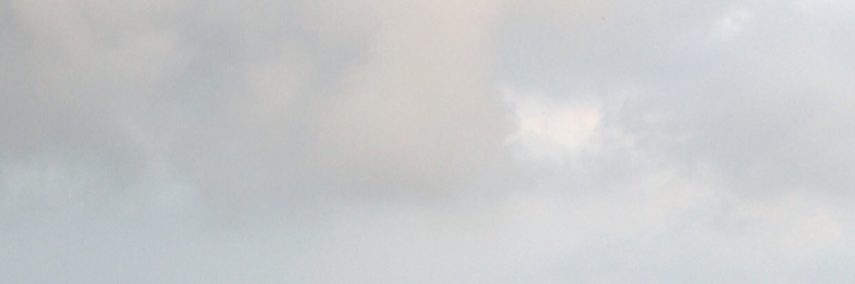 vncanvs's profile banner image
