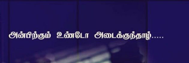 mshankar82's profile banner image