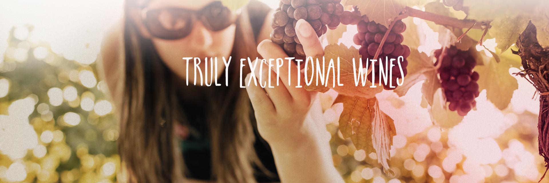 Wines With Attitude banner
