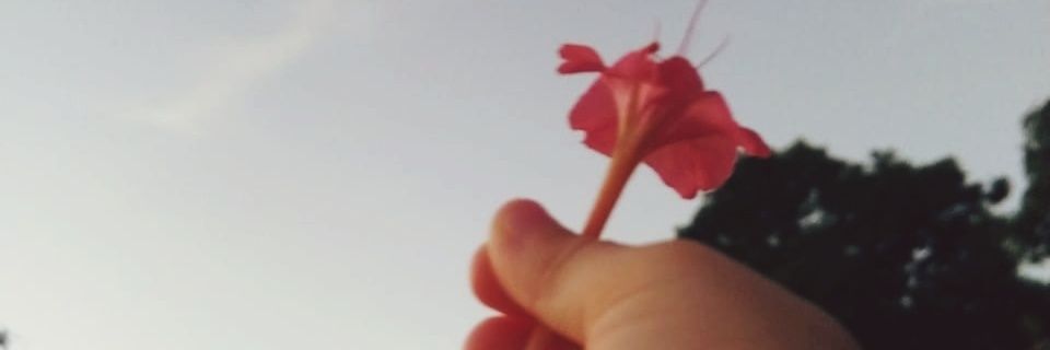 _adryaneO's profile banner image