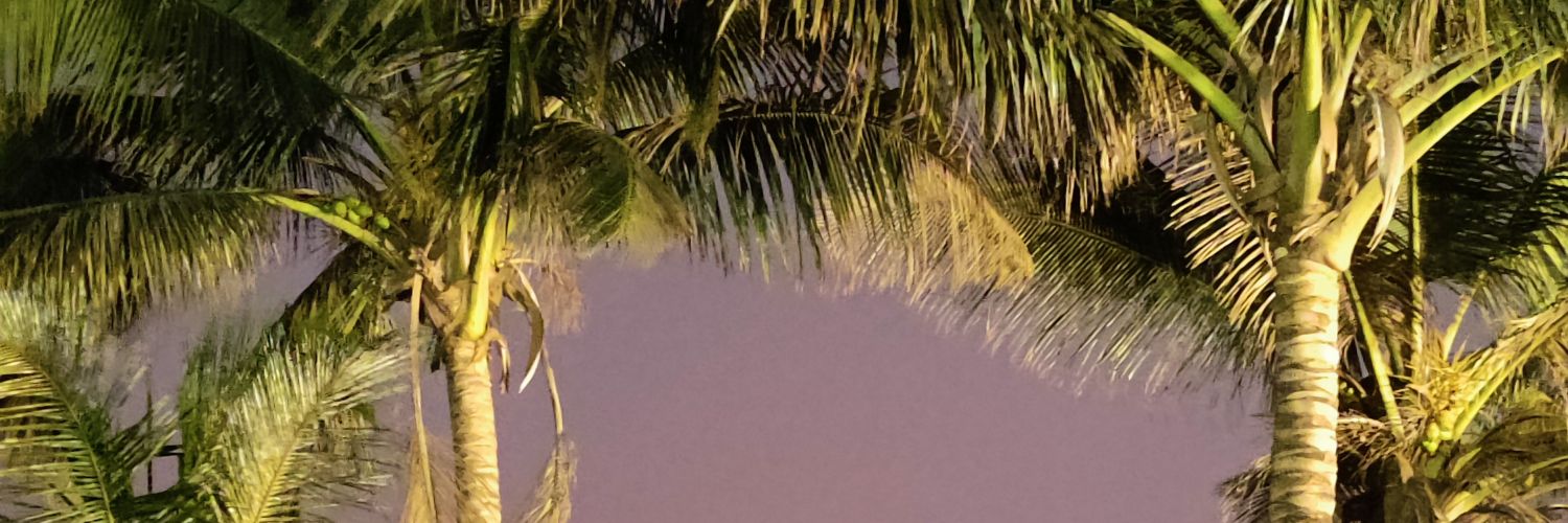 piyachandan's profile banner image