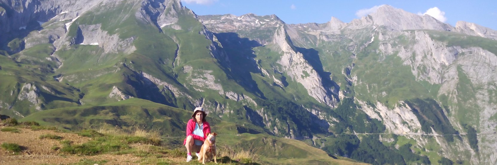 merenasanchez's profile banner image