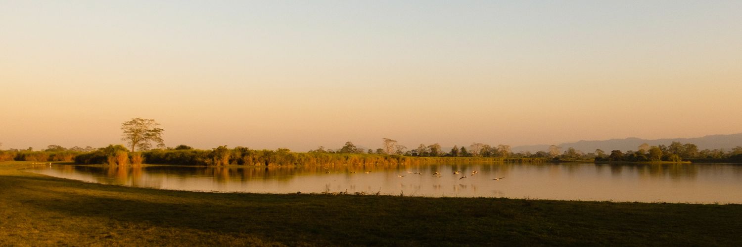 wazzamata's profile banner image