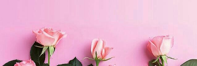 pintaey's profile banner image
