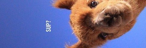Tullie_14's profile banner image
