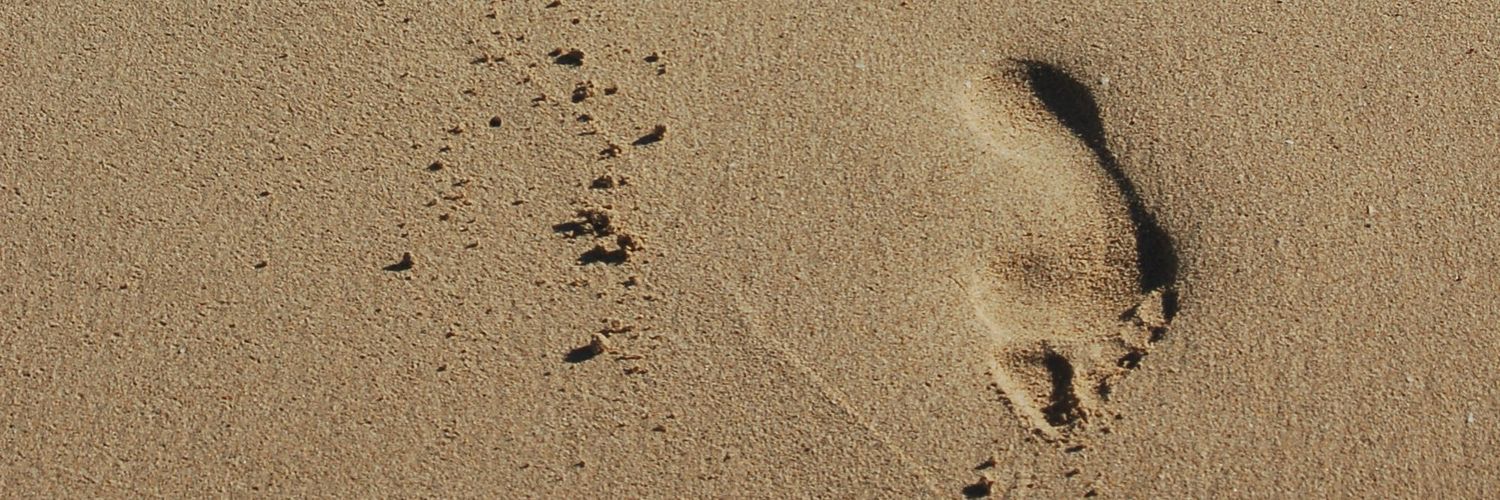 Bilstro's profile banner image