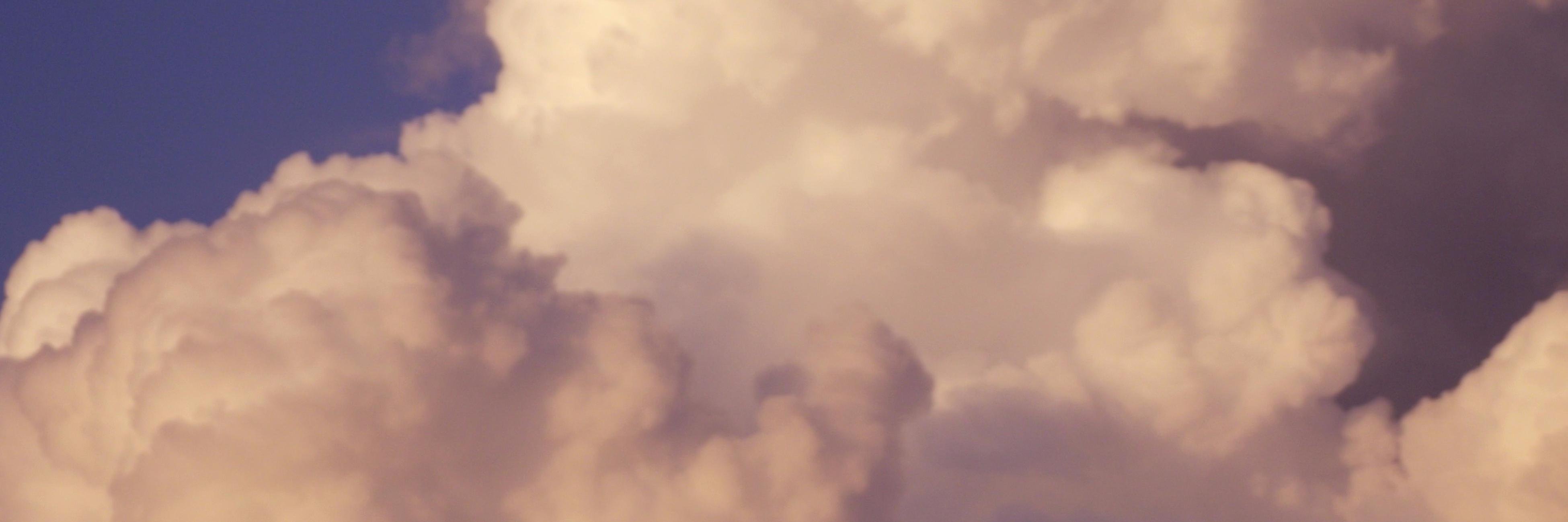 Fishgui's profile banner image