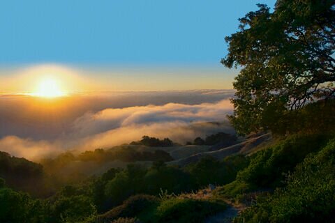 coen_alam's profile banner image