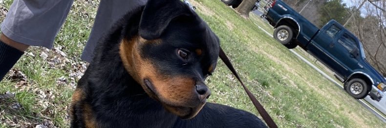 Jalliyah_'s profile banner image