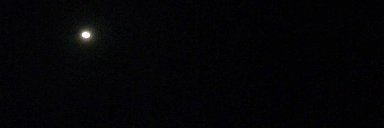st_1031's profile banner image