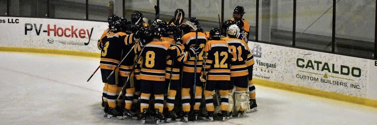 Hanover Hockey banner