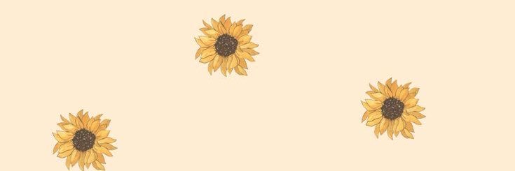 ayurbl's profile banner image