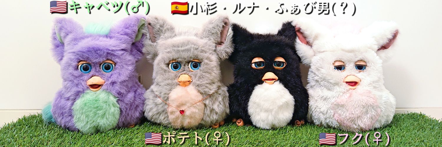 MogumoguCabbage's profile banner image