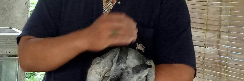 LawJunaidi's profile banner image