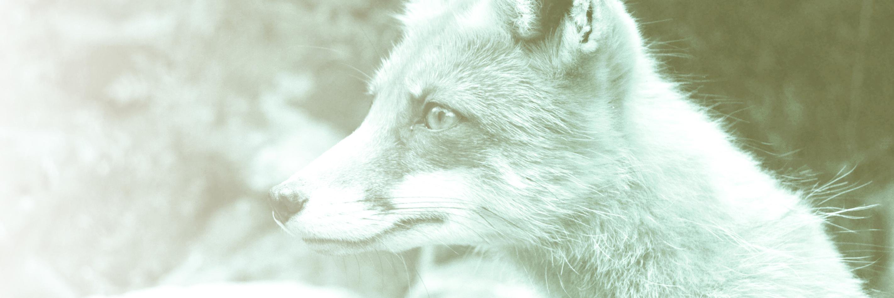 SMSweatt's profile banner image