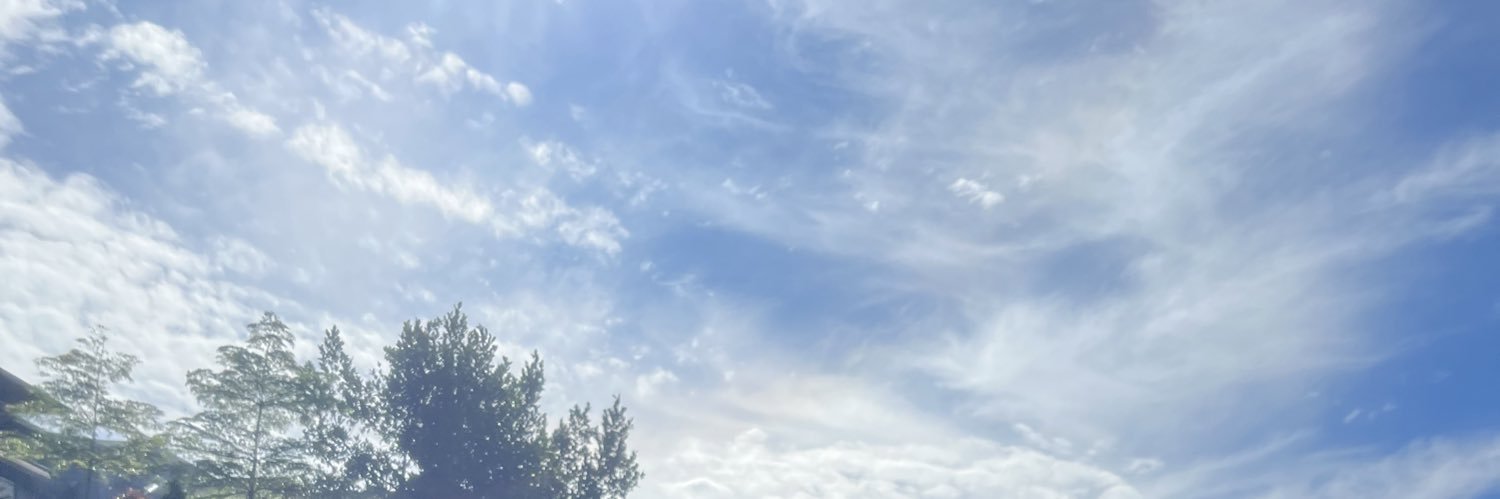 andadeaputri's profile banner image
