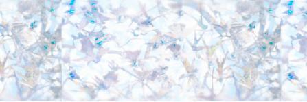 emilyb00's profile banner image