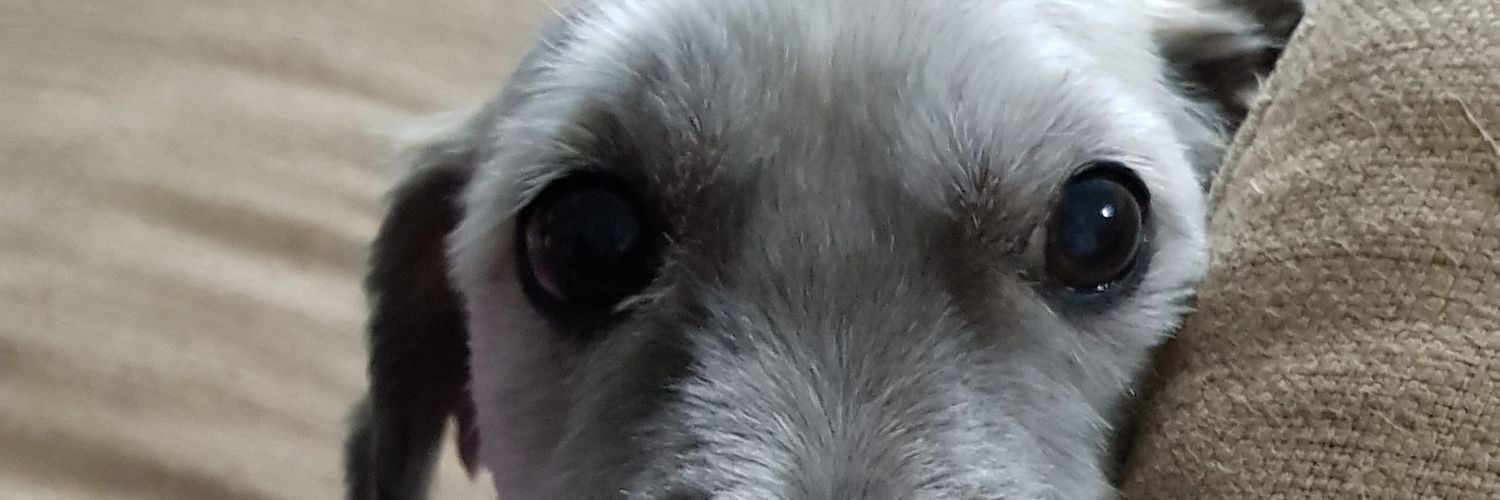 NikosSpyr's profile banner image