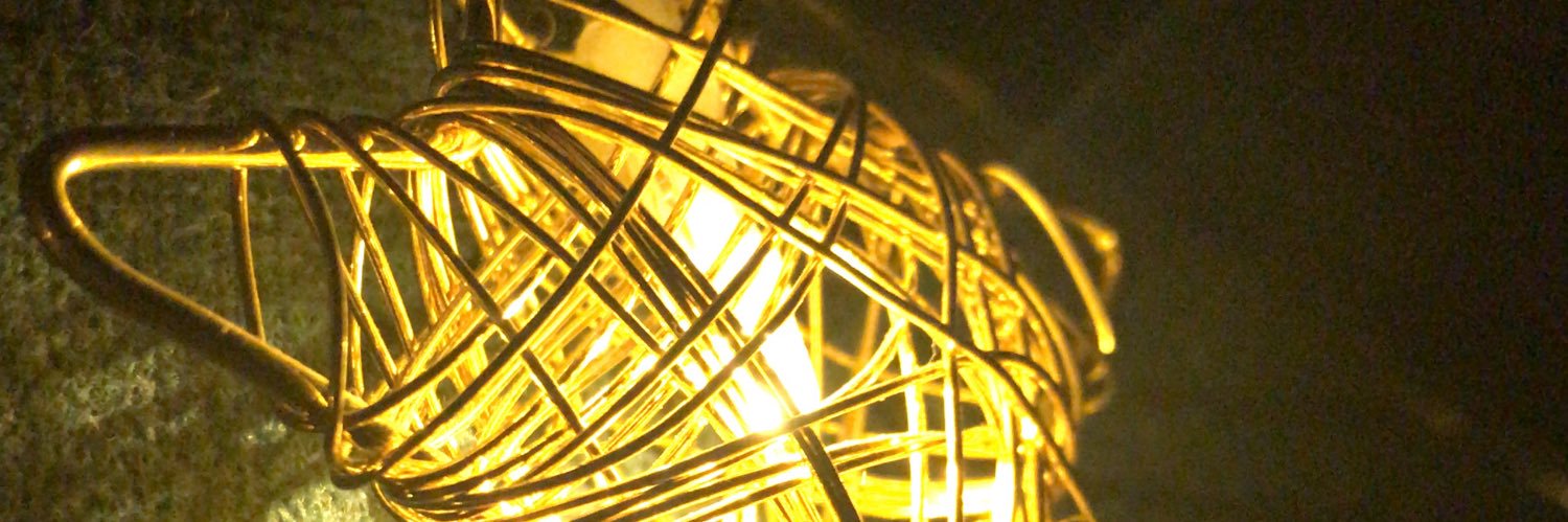 ebrukrvnc's profile banner image