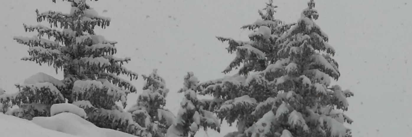 Concha5115's profile banner image