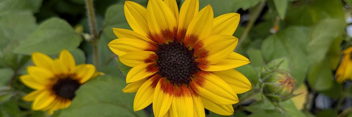 nkm_p's profile banner image