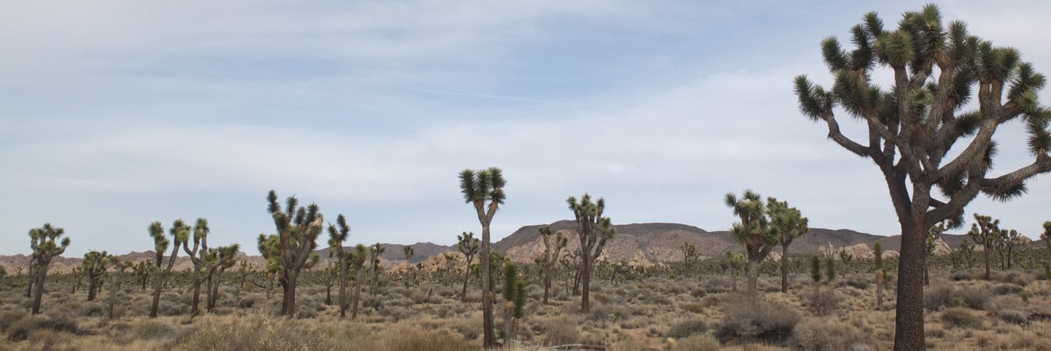 AlexZzzz's profile banner image
