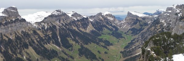 jojabaker Profile Banner