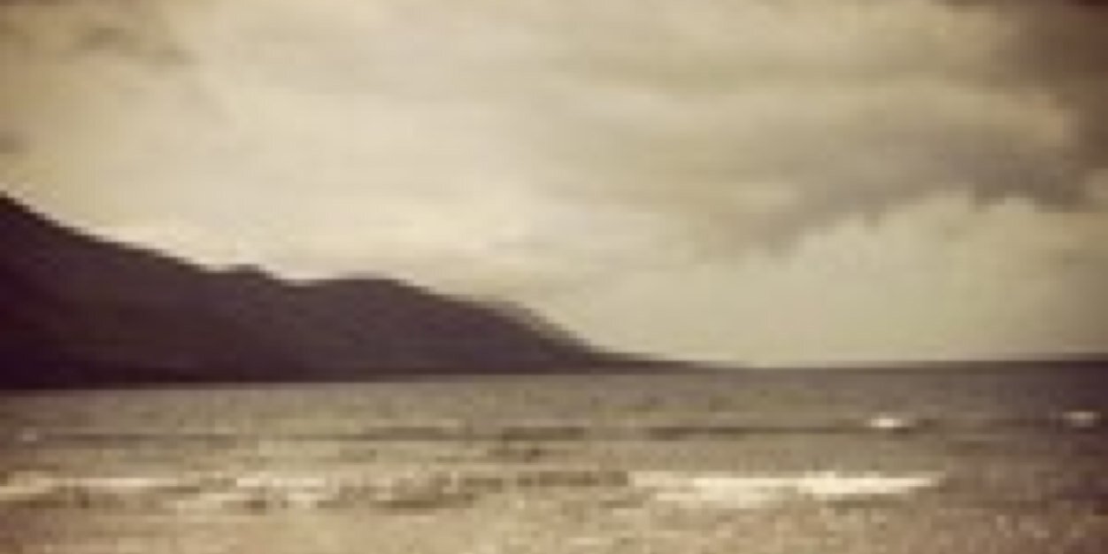 lisawhelehan's profile banner image