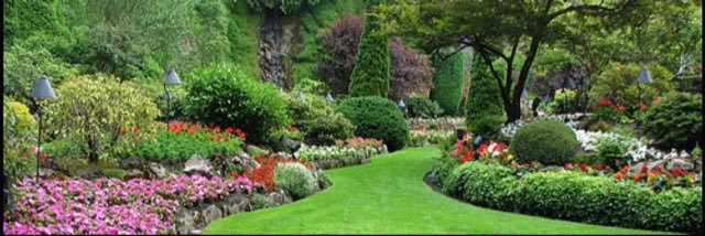 د عبدالرحمن المنصور banner