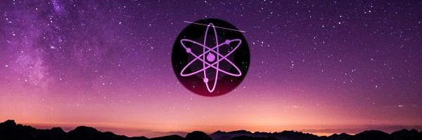 Leonoor's_Cryptoman banner