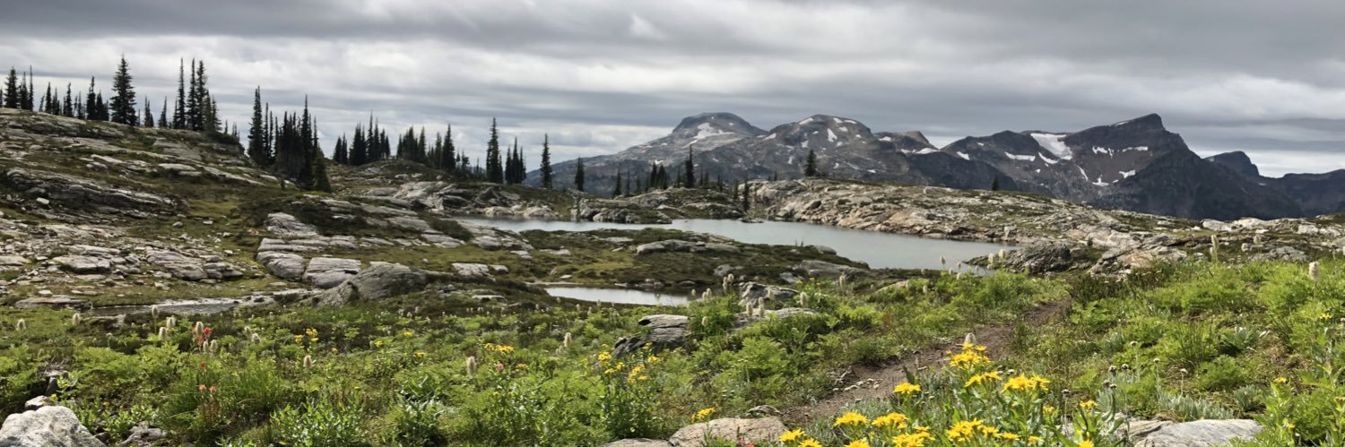 mybeatonpath's profile banner image