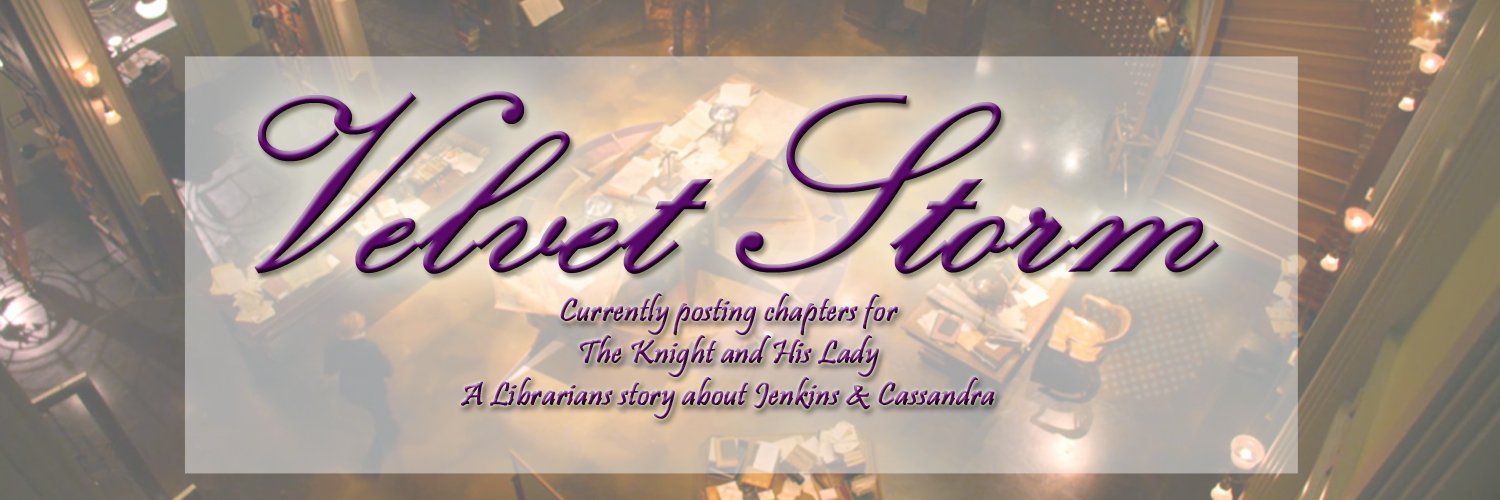 VelvetStormFF's profile banner image