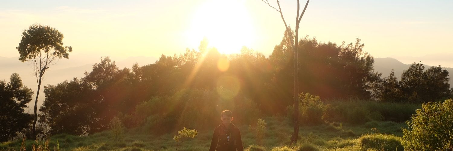 novapry_'s profile banner image
