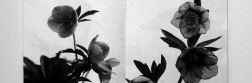 Fitrianoviaaa's profile banner image