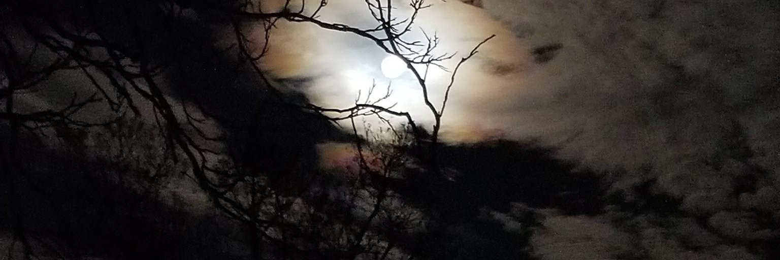 BlaggJesse's profile banner image