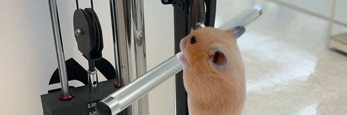 grogobeam's profile banner image