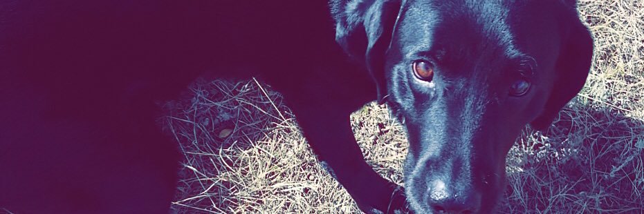 MatthewMaynes1's profile banner image