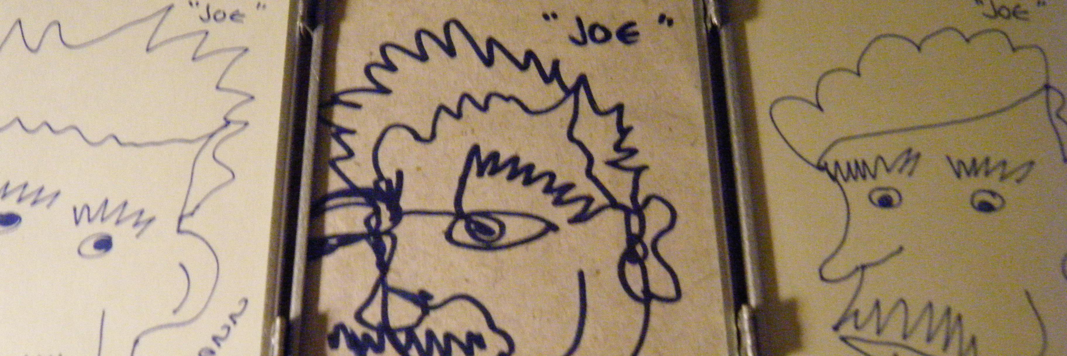 flouann's profile banner image