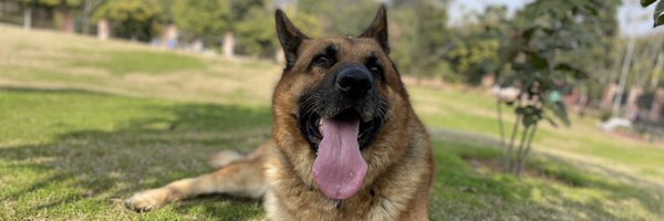 Saahil_v Profile Banner