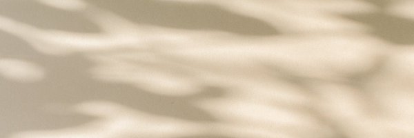 lizajansen Profile Banner