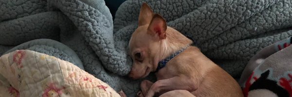 brickell_mary Profile Banner