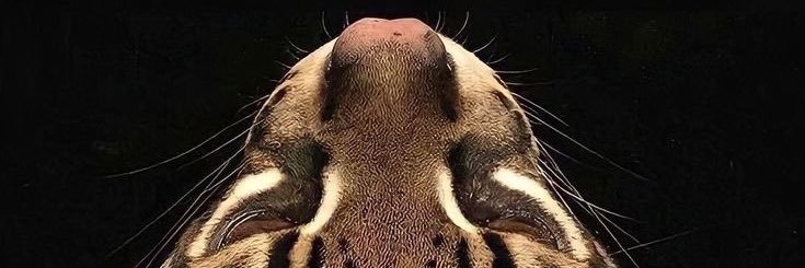 jrodriggss's profile banner image