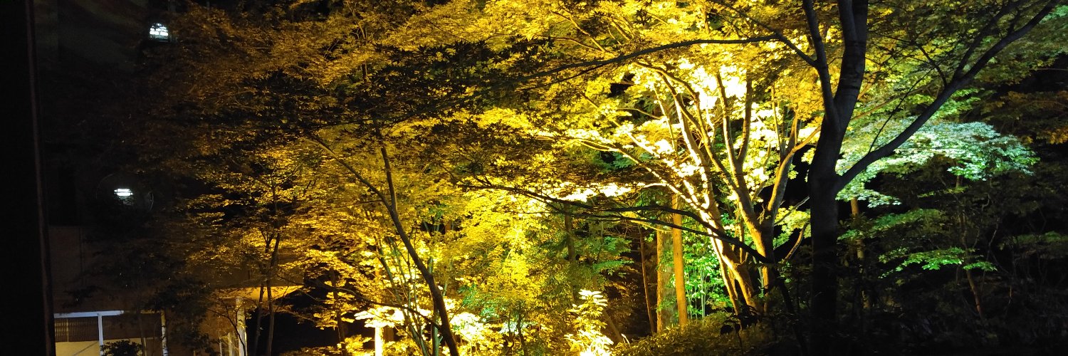 nmamida's profile banner image