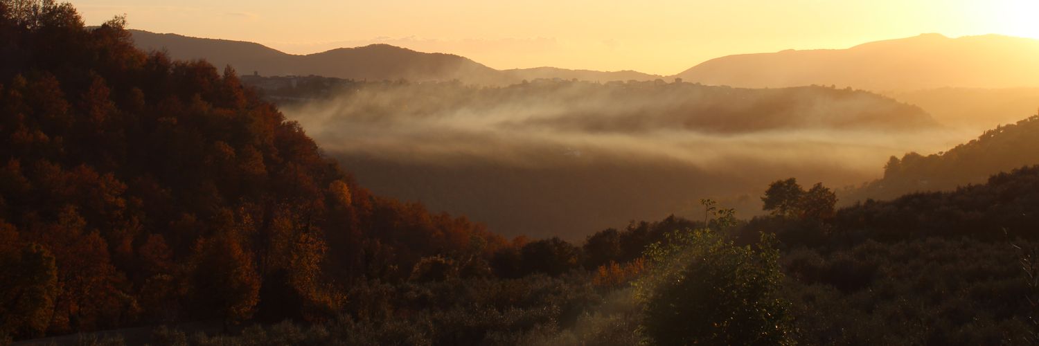 89Colandrea's profile banner image