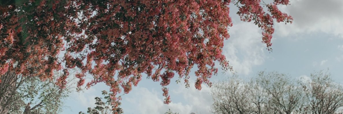 GodDamnJenn's profile banner image