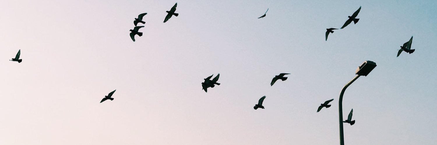 fallintothelake's profile banner image