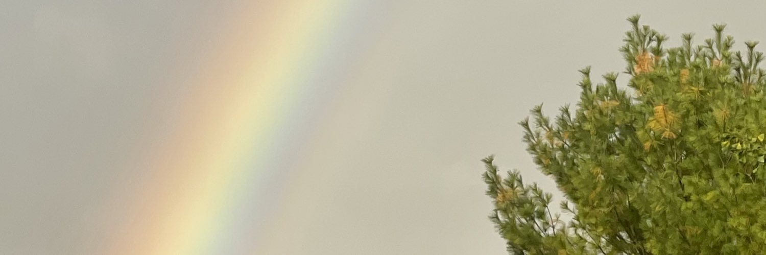 jillthemouse's profile banner image