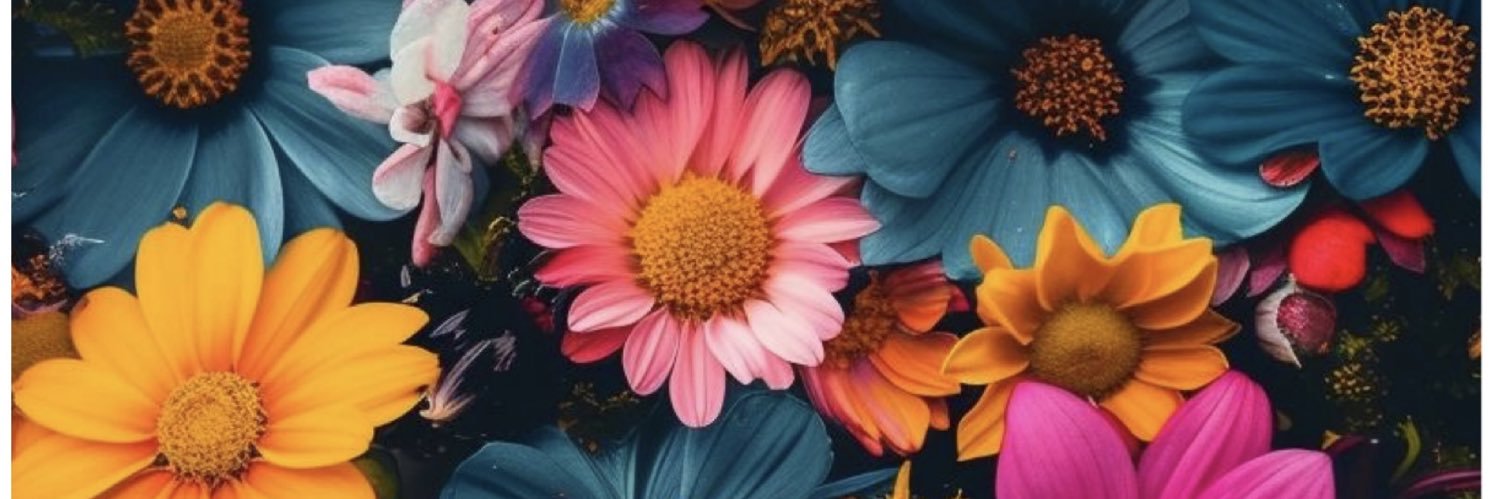 bsugarpromos's profile banner image